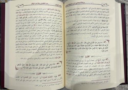 مرعاة المفاتيح شرح مشكاة المصابيح 14/1