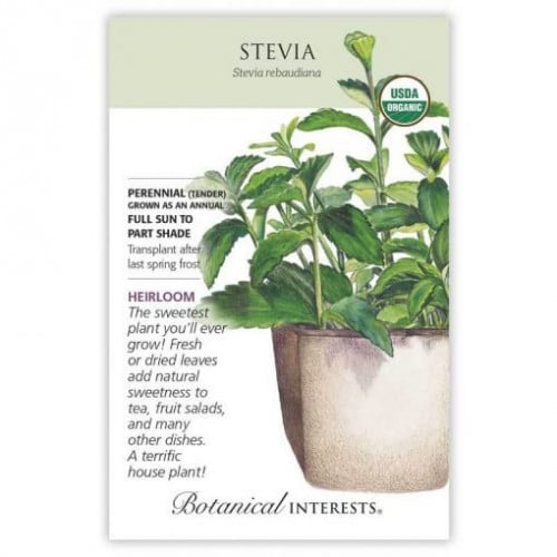 بذور ستيفيا - Candy Stevia Seeds
