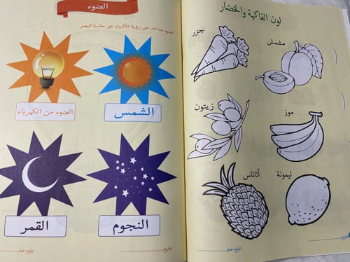 العلوم المستوى الأول