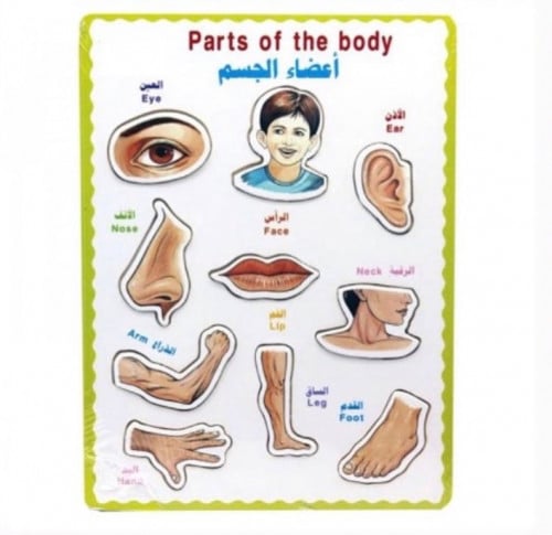 بزل اعظاء الجسم