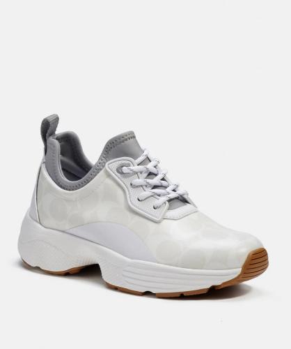 كوتش اوتلت - مقاس 36