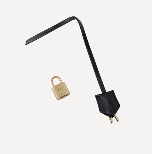 Gold Black Hobo Bag - verafiedny