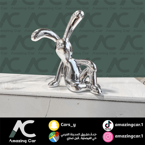 ارنب مسدوح فضي