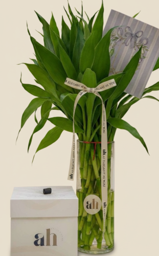 The woven bamboo pole