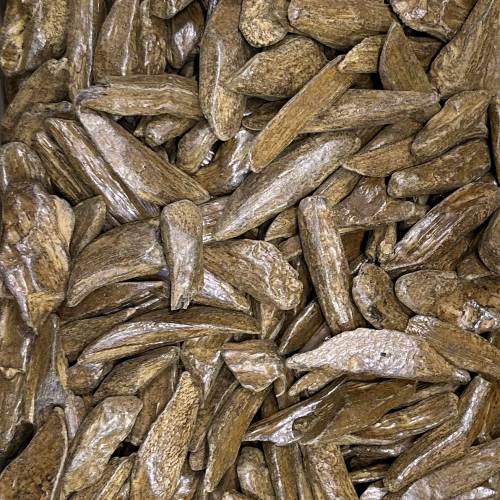 عود دبل سوبر موروكي من بيوتي فور يو