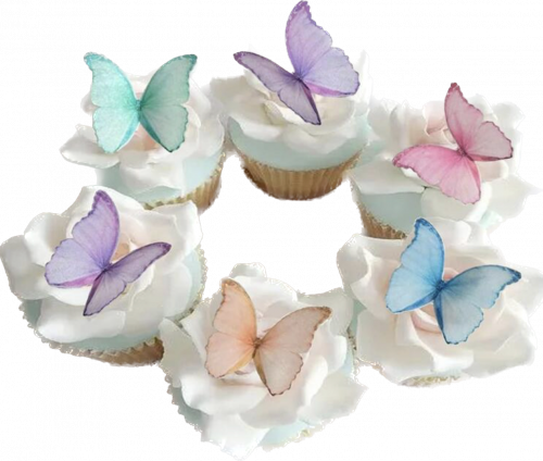 فراشات الويفر المميزة