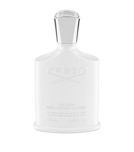 سيلفر ماونتن ووتر 100 مل