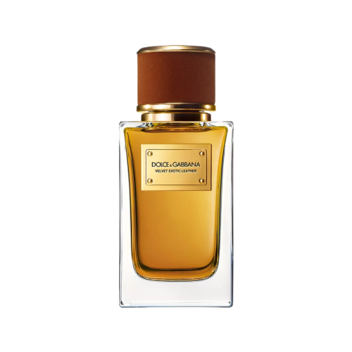 عطر دولتشي اند غابانا فيلفت إكزوتيك ليذر 100 مل