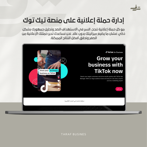إدارة حملة إعلانية على منصة تيك توك