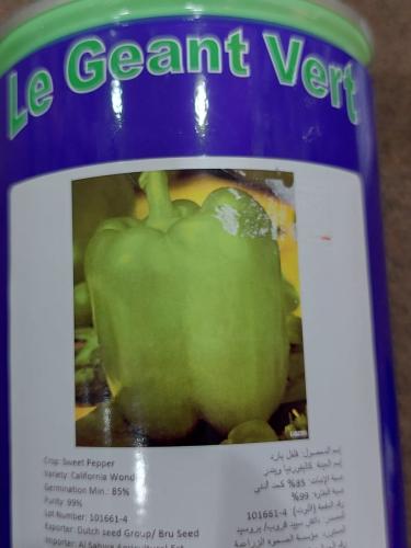 فلفل بارد 400 بذرة