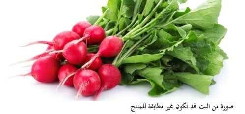 فجل احمر مصري 100 جرام