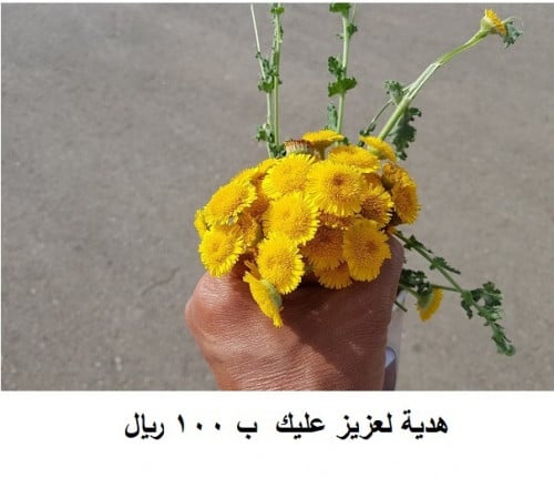 هدية لعزيز عليك