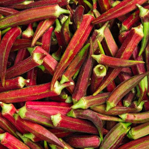 بامية حمراء امريكية 50 بذرة red burgundy okra ( he...