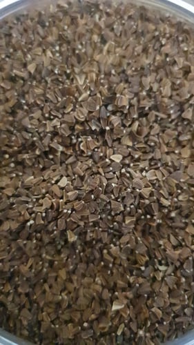 اقحوان المزارع 100 بذرة Chrysanthemum