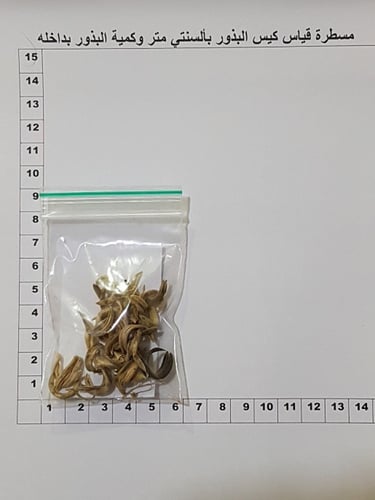 قفعاء و تأويل كمية البذور مثل الصورة Astragalus