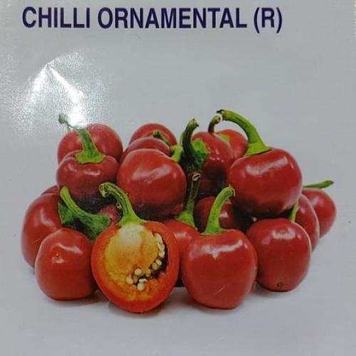 فلفل مدور احمر 25 بذرة