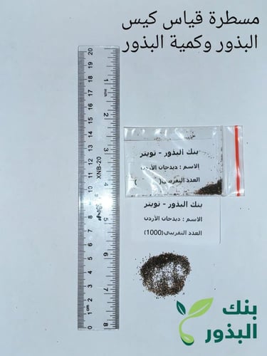 ديدحان الاردن من ربيع الاردن 1000 بذرة Papaver gla...