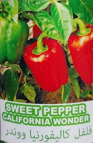 فلفل كليفورنيا وندر 270 بذرة Sweet pepper Californ...