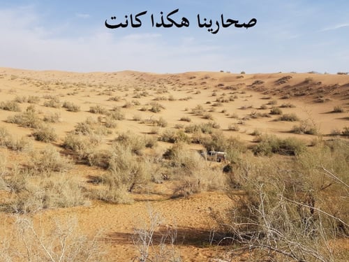 غضا جديد 2026 كمية البذور ملأ بيالة به شوائب كثيرة...