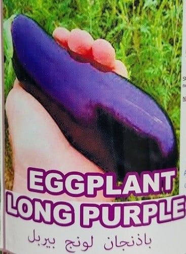 باذنجان لونق بيربل 600 بذرة Eggplant long purple