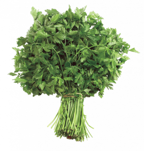 بقدونس حساوي 400 بذرة