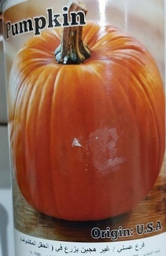 قرع عسلي امريكي 9 بذور pumpkin
