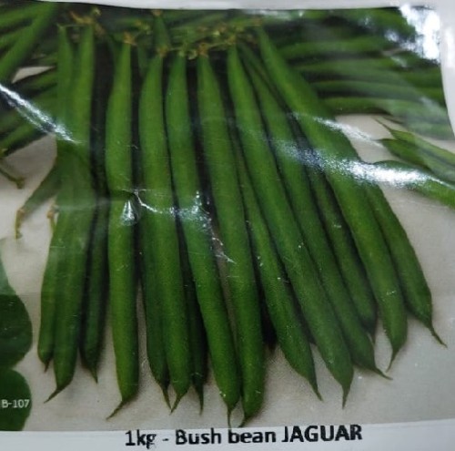 فاصوليا 80 بذرة Bush bean JAGUAR