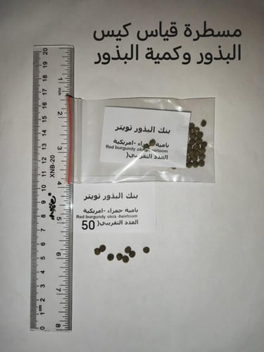 بامية حمراء امريكية 50 بذرة red burgundy okra ( he...