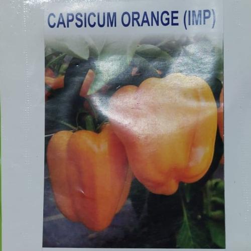 فلفل بارد برتقالي 24 بذرة