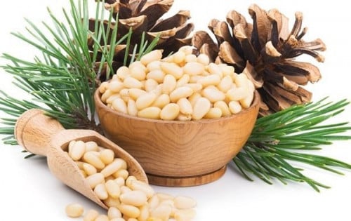 صنوبر 20 بذرة Stone Pine