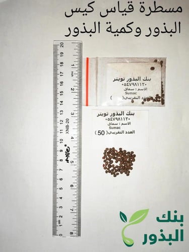 سماق 30 بذرة Sumac