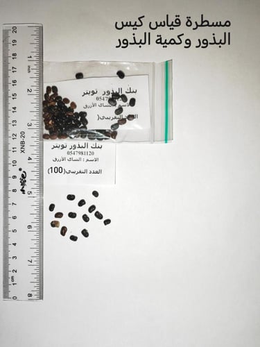 شاي أزرق 100 بذرة Clitoria ternatea