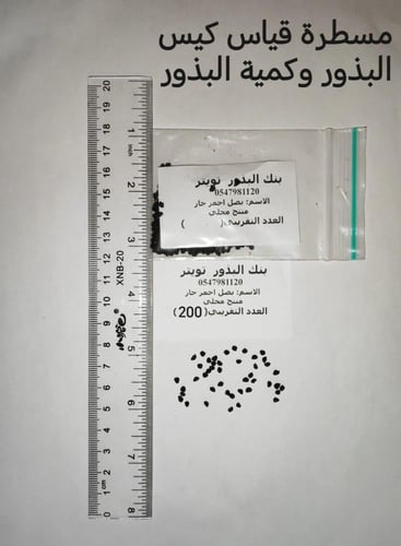 بصل احمر 100 بذرة