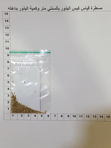 قليقلان كمية البذور (موجود صورة ) Savignya parvifl...