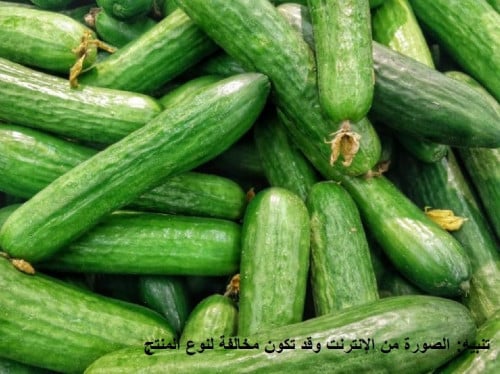 خيار 80 بذرة cucumber