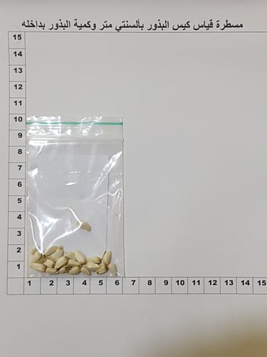 عصفر زراعي 170 بذرة ( Carthamus tinctorius