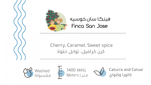 حبوب القهوة فينكا سان خوسيه من بيت التحميص 227 ج