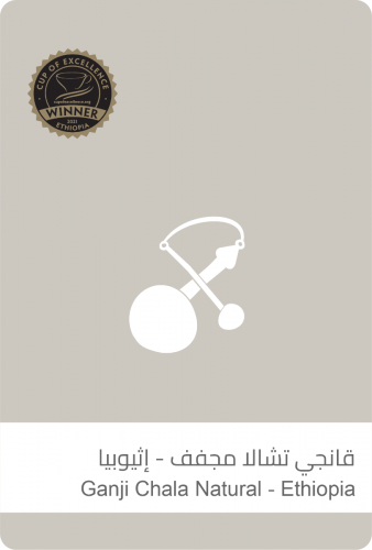 سلالات| قانجي تشالا مجفف - مزاد كأس النخبة إثيوبيا...