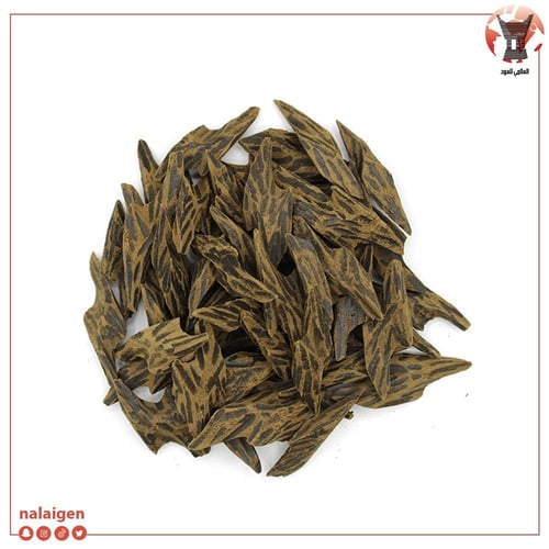 عود تايقر فيتنامي