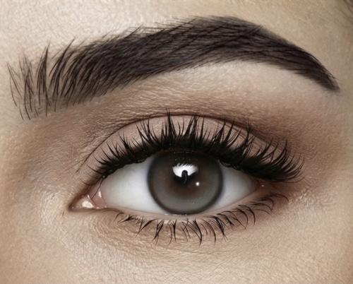 نظر Contour