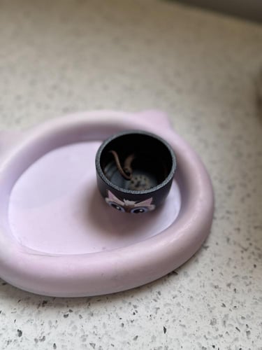 صحن اكسسوارات اسود رسم يدوي قطة سيامية