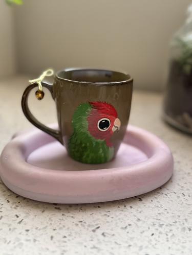 كوب وسط ببغاء