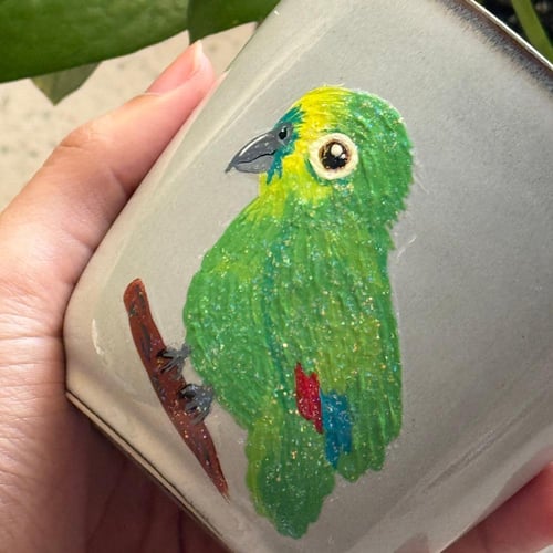 كوب رسم يدوي ببغاء او طيور حسب الطلب (في حال الطلب...