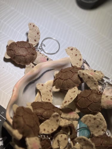 ميدالية سلاحف بحرية