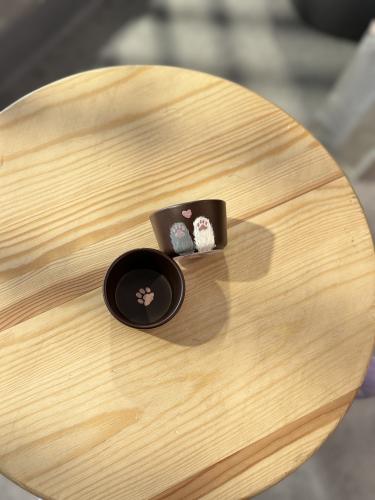 صحن اكسسوارات ميني رسم يدوي