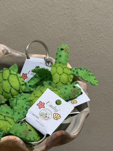 ميدالية سلاحف بحرية