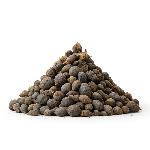 نبات السعد الطبيعي