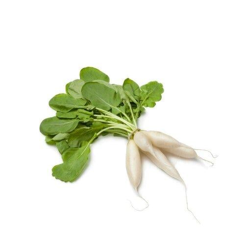 فجل ابيض طازج