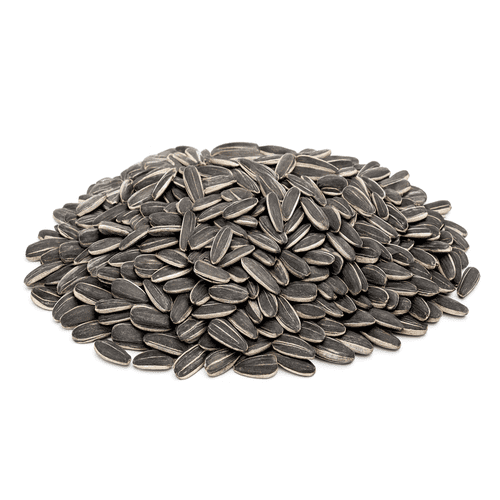 فصفص حب دوار الشمس