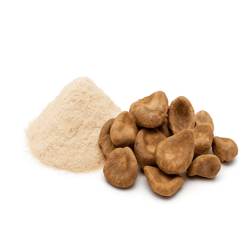 خميرة الحاج (خميرة البيرة)